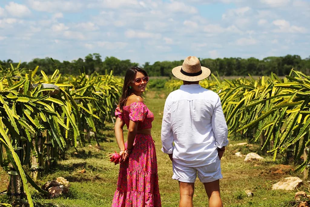 Pitahaya Campo Productivo imagen 1